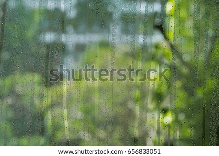 droplet water glass of window 
