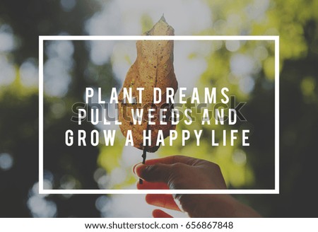 Life motivation inspiration positive vibes quote on nature leaf background