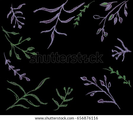 Illustration of drawing a colored pastel bush of a plant on a black isolated background