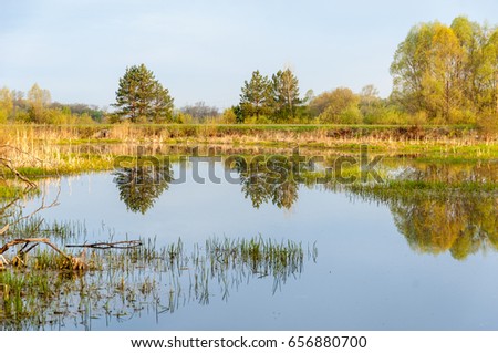 Spring landscape. A beautiful spring landscape with a swamp, Sunrise. Green forest and cloudy sky with clouds. Natural environmental concept in the open air.