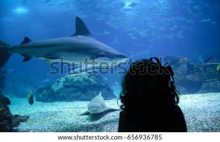 little girl watching fishes in a Oceanarium. Lisbon in Portugal Royalty-Free Stock Photo #656936785