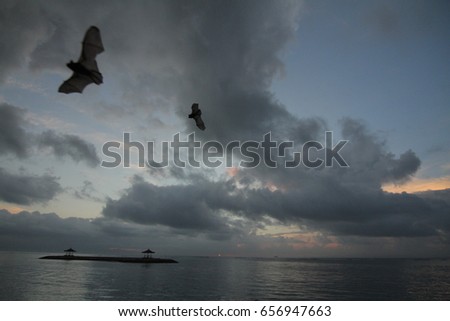 Cloudy dark sunrise and flying bats,