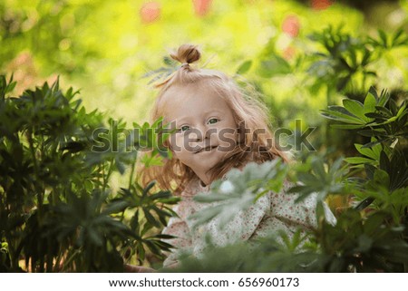 Portrait of little Little red hair girl playing in lupines field. Ginger sunny kid has fun in the garden surrounded by lush and flowers sunny day