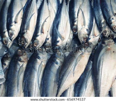 mackerel Royalty-Free Stock Photo #656974537