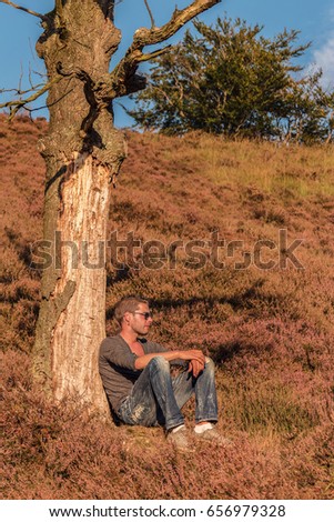 Nationaal Park Veluwezoom heide in bloei, TRANSLATION: National park Veluwe, purple pink heather in bloom by the Posbank Rheden, Netherlands, Man relaxing under a tree on a beautiful summer day park