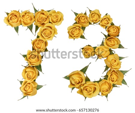 Arabic numeral 73, seventy three, from yellow flowers of rose, isolated on white background
