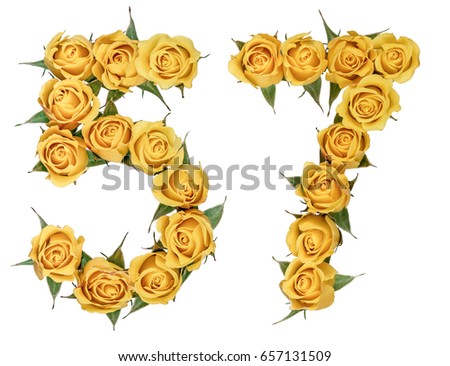 Arabic numeral 57, fifty seven, from yellow flowers of rose, isolated on white background