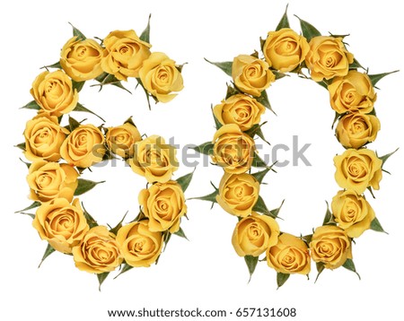Arabic numeral 60, sixty, from yellow flowers of rose, isolated on white background