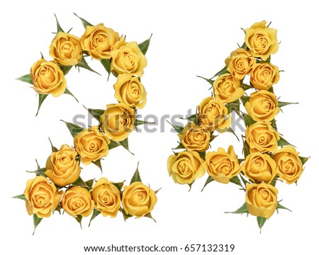 Arabic numeral 24, twenty four, from yellow flowers of rose, isolated on white background