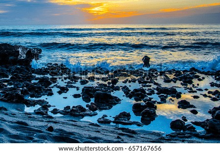 Rocks and shells on a Florida beach with sunlight and clouds reflecting in the surf.