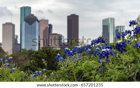 Houston Skyline framed in with a patch of Bluebonnets
