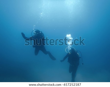 Scuba diving. Divers Underwater.