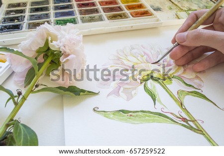 Watercolor painting. The process of drawing. The hand with a brush. The artist is painting peony picture using the brush and watercolors. Royalty-Free Stock Photo #657259522