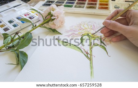 Watercolor painting. The process of drawing. The hand with a brush. The artist is painting peony picture using the brush and watercolors. Royalty-Free Stock Photo #657259528