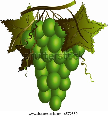 Green grape
