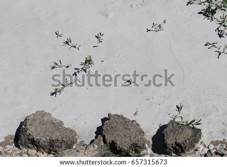 Desert drought cement gravel road ground with weeds sprouting out of the soil and asphalt chunks littering the sidelines in an environmental and ecological cleanup zone.