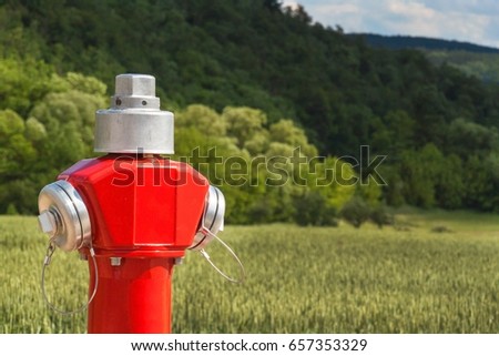 Red fire hydrant at the edge of a green field