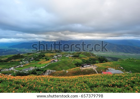 Beautiful Lily field with fantastic clouds in the background at Hualien city,Taiwan.