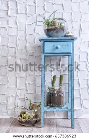 Florarium with succulents and cactus on stand