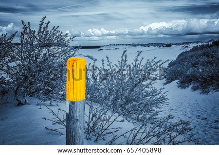 Wooden pole with a yellow top. Guiding you when walking through the dunes. This basic black and white i.e. monochrome picture, will look great in a modern interior. 