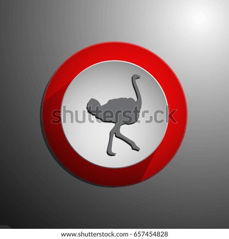Ostrich vector. Birds of savannah in flat design. African fauna illustration.