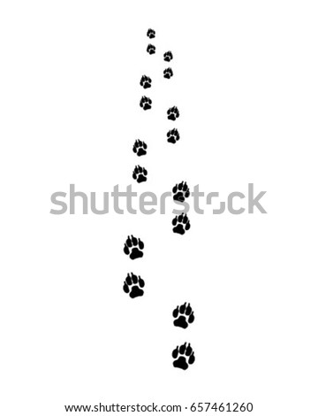 Black trail of dog, forward, vector illustration