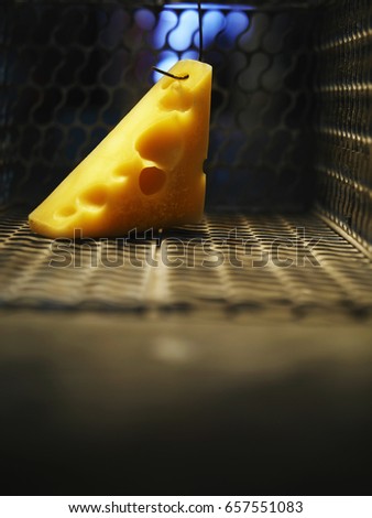 Close up of cheese hang in the open mouse trap