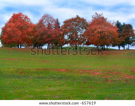 Autumn Trees on Golf Course