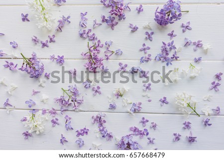 Twigs and small buds of lilac on white-painted wooden boards. Shabby chic. The theme of spring, summer. Top view. Bright and light background for postcards, banners, invitations, typographic item. 