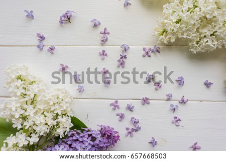 Background, frame with branches of lilac in different colors - white, lilac and purple on a white-painted wooden boards. Top view. Copy space. The theme of spring, summer, good morning. 