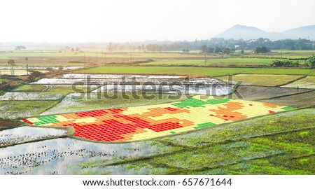 Smart agriculture , farm , precision farming concept. NIR images used to create field health maps using the normalize difference vegetation index in field rice. Royalty-Free Stock Photo #657671644