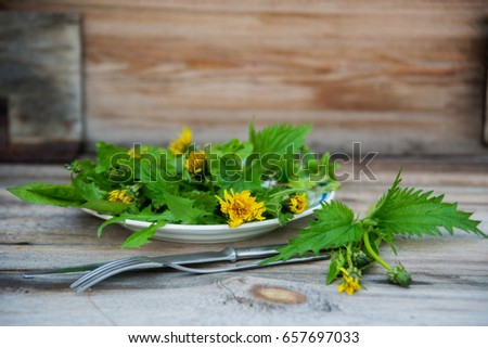 healthy food. Detox. Organic nutrition. veganism. salad of nettle and dandelion flowers