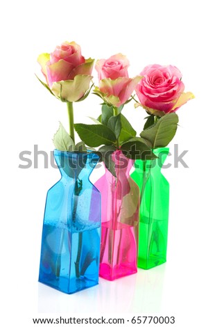 beautiful pink roses in colorful modern vases isolated over white