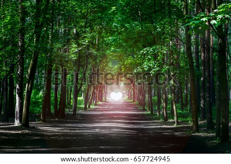 Road in the fairy forest. The road to love, to the heart. Salvation of forests, ecology, the road home. Summer fairy forest. Royalty-Free Stock Photo #657724945