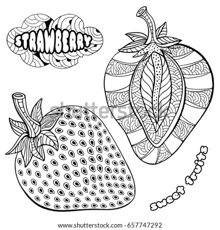 Strawberry. Doodle and zentangle style. Hand drawn coloring book. Vector illustration.