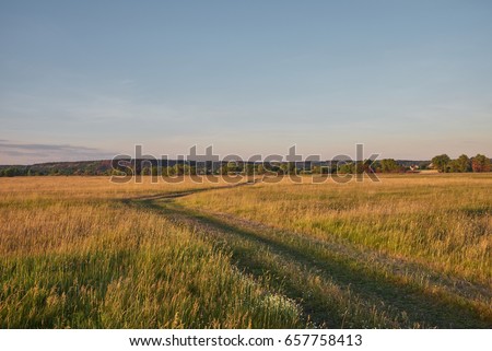 Landscape with green and yellow grass, road and blue sky in the background at sunset