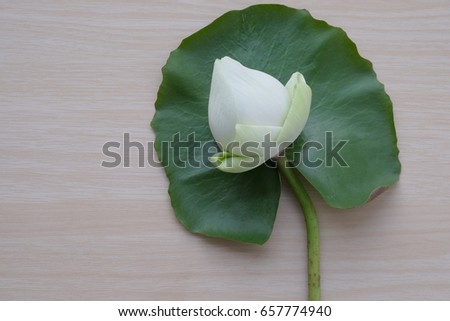 Lotus Buddha on lotus leaf wooden background