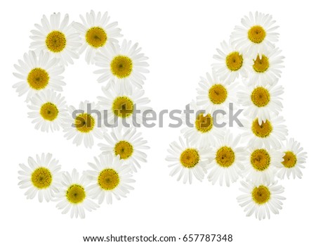 Arabic numeral 94, ninety four, from white flowers of chamomile, isolated on white background