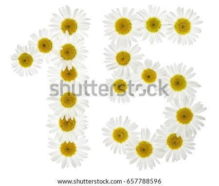 Arabic numeral 15, fifteen, from white flowers of chamomile, isolated on white background