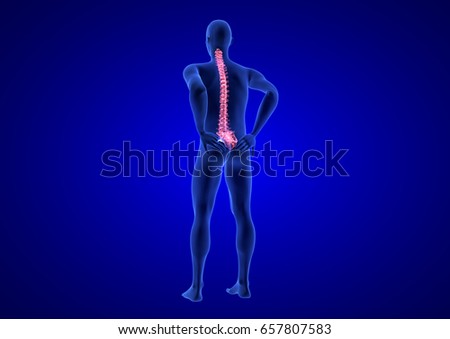 Spine Pain. Blue Human Anatomy Body 3D render on blue background