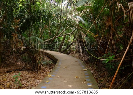 The road to make easier for the tourist to enjoy the view in Emerald Pool, KRABI