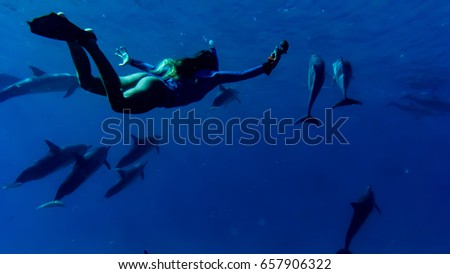 Woman and dolphins in the ocean