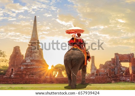 Tourists lover on an ride elephant tour of the ancient city sunset ,ayutthaya, thailand 