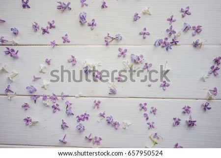 Small buds of lilac on white-painted wooden boards. Top view. Shabby chic. The theme of spring, summer. Bright and light background for postcards, banners, invitations, typographic item