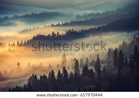 Misty mountain forest landscape in the morning, Poland Royalty-Free Stock Photo #657970444