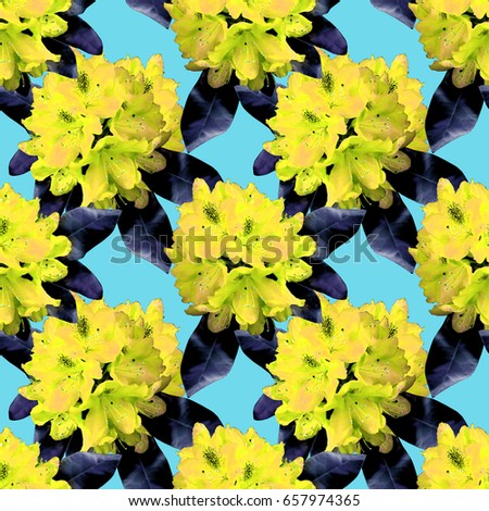 Rhododendron seamless pattern. Design template.                       