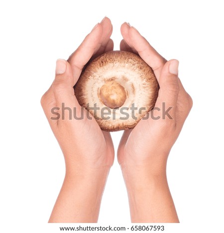 hand holding portobello mushrooms, isolated on white background.