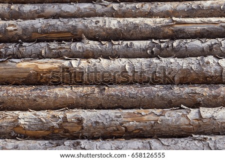 Closeup picture of pine tree logs stacked on top of each other.