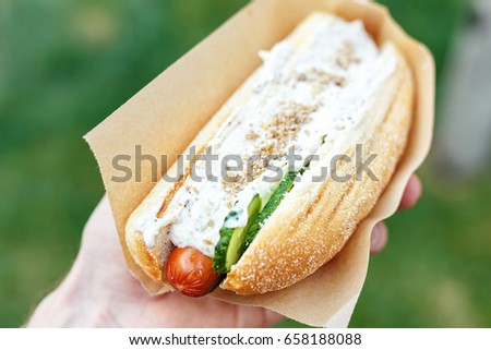 Street food with sausage, American food hot dog is held in the hand by a man on the background of grass