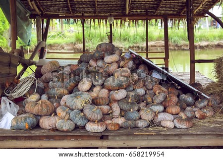 Diverse assortment of pumpkins